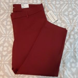 Old Navy Pixie Pants NWT
